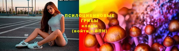 гашик Коряжма